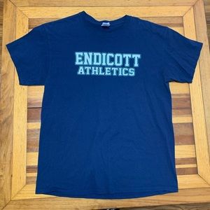 Gildan Endicott College Athletics T-Shirt